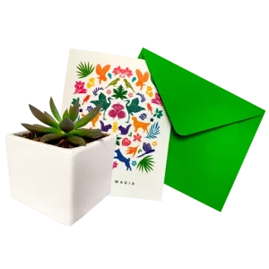 Surprise Voucher