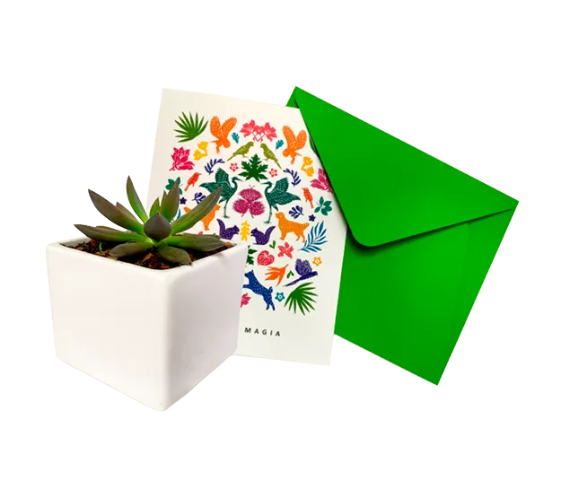 Surprise Voucher